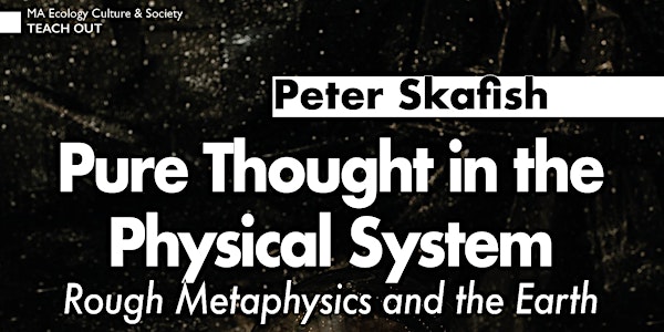 Pure Thought in the Physical System: Rough Metaphysics and the Earth