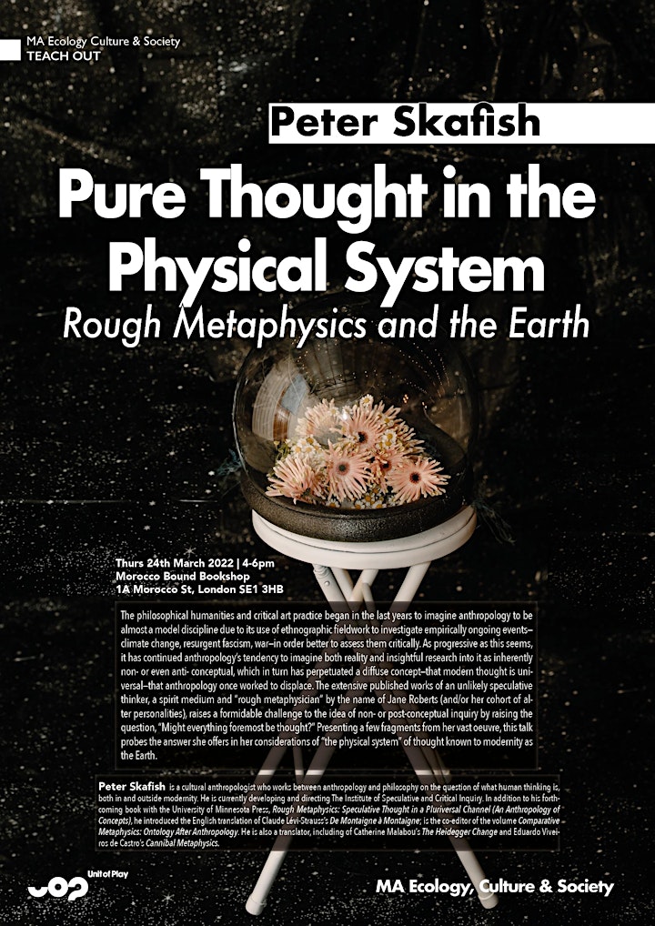 Pure Thought in the Physical System: Rough Metaphysics and the Earth image