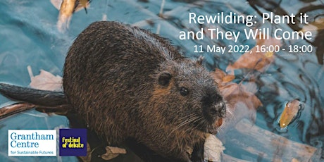 Rewilding: Plant it and They Will Come