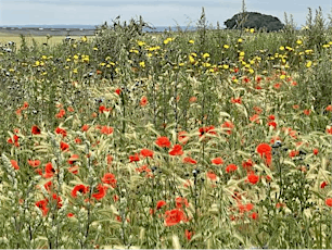English Wild Flowers: a Series tickets