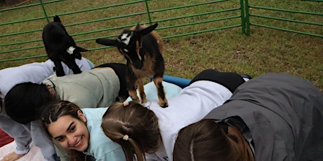 Goat Yoga Texas -  Sat, April 30 @ 10am