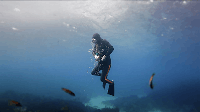 LEAFF: Breathing Underwater primary image
