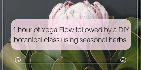 YOGA + DIY Seasonal Herbs w/ Sarah Baker of BalancedBabe.com