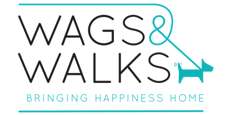 Virtual Wags & Walks Volunteer Orientation
