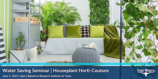 Houseplant Horti-couture