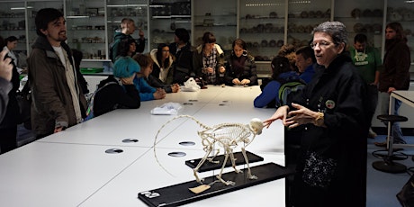 “From Bones to Baboons” - A Roehampton Anthropology taster day primary image