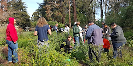 Bay-Friendly Training & Qualification for Maintenance of Landscapes - Oakland 2017 primary image