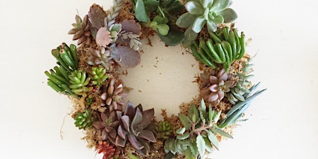 Succulent Christmas Wreath primary image