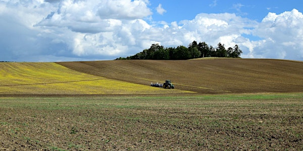 Nachwachsende Rohstoffe für Welternährung und Klimaschutz