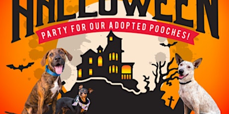 Rescue Reunion! Halloween Party for Adopted Pooches primary image