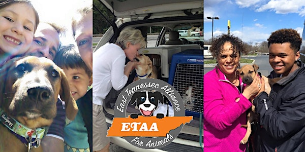 Let's Paw-ty for East Tennessee Alliance for Animals