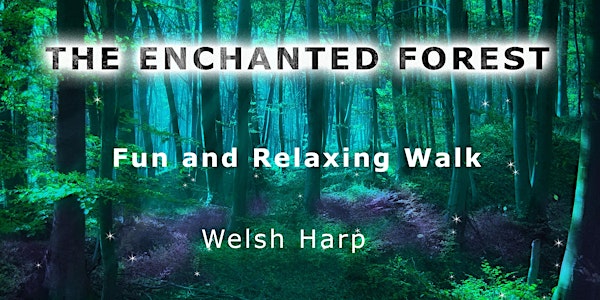 Enchanted Forest  walk: Welsh Harp