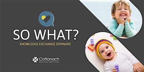 SoWhat? Seminar: Rethinking the Early Years Workforce