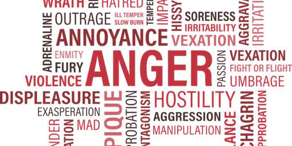 Developing Emotional Regulation Skills in Children with Anxious, Opposition...