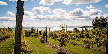 Prince Edward County - A Tasting & Class tickets