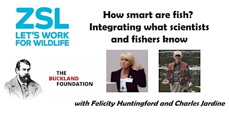 How smart are fish? Integrating what scientists and fishers know primary image