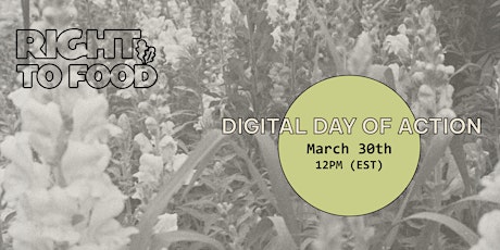 Right to Food: Digital Day of Action