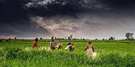 Why India needs monsoon scientists primary image