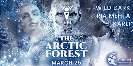 I FEEL: The Arctic Forest primary image