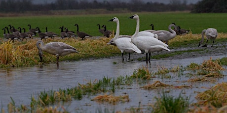 Waterfowl and Agriculture, Working Together: Field Trip primary image
