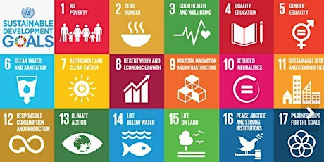 Transforming our World: Impact Investing and the Sustainable Development Goals primary image
