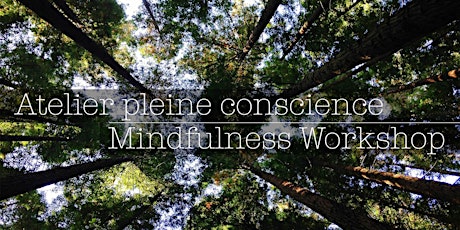 Image principale de Atelier Mindfulness: Gérer le stress et l'anxiété par la pleine conscience