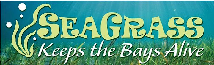 2022 Sarasota Seagrass Survey image