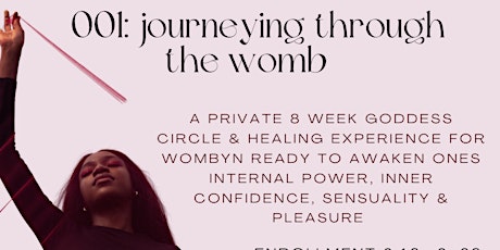 Dripping Honey:  Journeying Through The Womb tickets