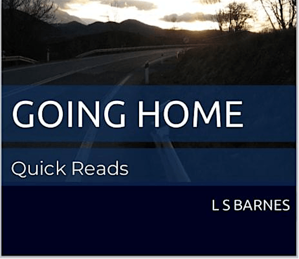 Home Edition: Who's that Girl? Author of Going Home