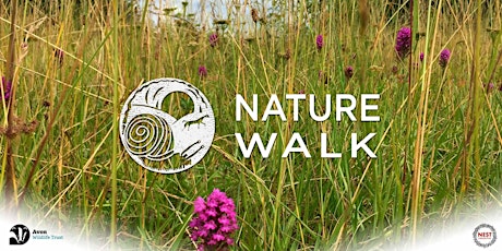Nature Walk: Rachel Lambert | Jow tickets