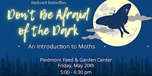 Don’t Be Afraid of the Dark: An Intro to Moths primary image