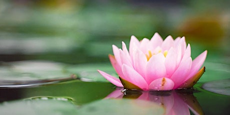 WB Insight Community- Mindfulness/Vipassana Retreat - June 3rd - 5th