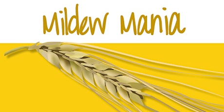 Mildew Mania 2017 - mapping barley powdery mildew across Australia primary image