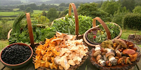 Autumn Foraging Walk and Preserving Demonstration primary image