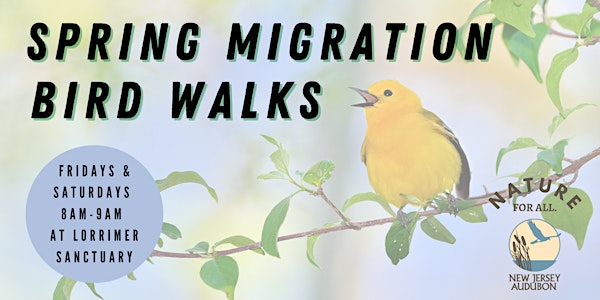 Spring Migration Bird Walks