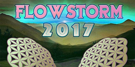 Flowstorm 2017 primary image