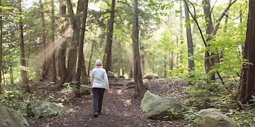 Spring into Forest Bathing!