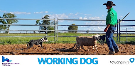 Ag Field Days: Working Dog Training School