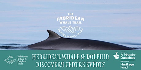 Discover Whales and Dolphins tickets