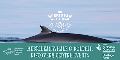 Discover Whales and Dolphins