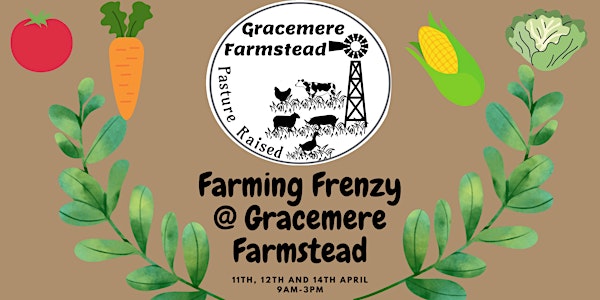Farming Frenzy @ Gracemere Farmstead