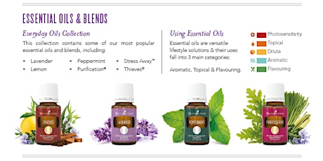 Essential Oils for Everyday primary image