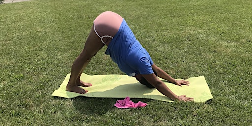 Hatha Vinyasa - Yoga Class