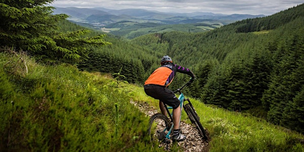 Ride Here, Ride Now - Mountain Bike Tourism Workshops:  Selkirk