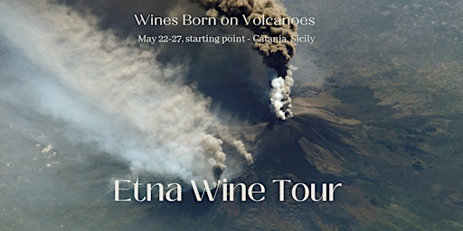 Etna Wine Tour