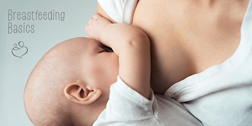 Hauptbild für Breastfeeding Basics
