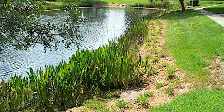 Lakes & Ponds Education Day and Arbor Day Celebration (Virtual) primary image