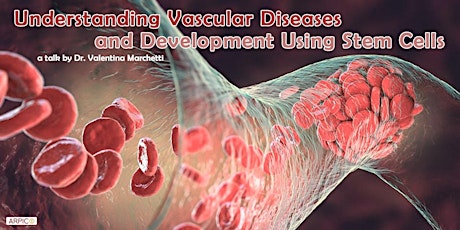 Imagen principal de Understanding Vascular Diseases and Development Using Stem Cells