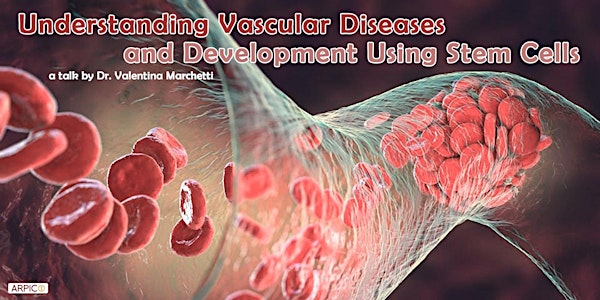 Understanding Vascular Diseases and Development Using Stem Cells