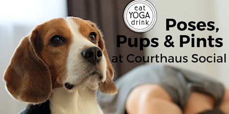Poses, Pups + Pints at Courthaus Social tickets